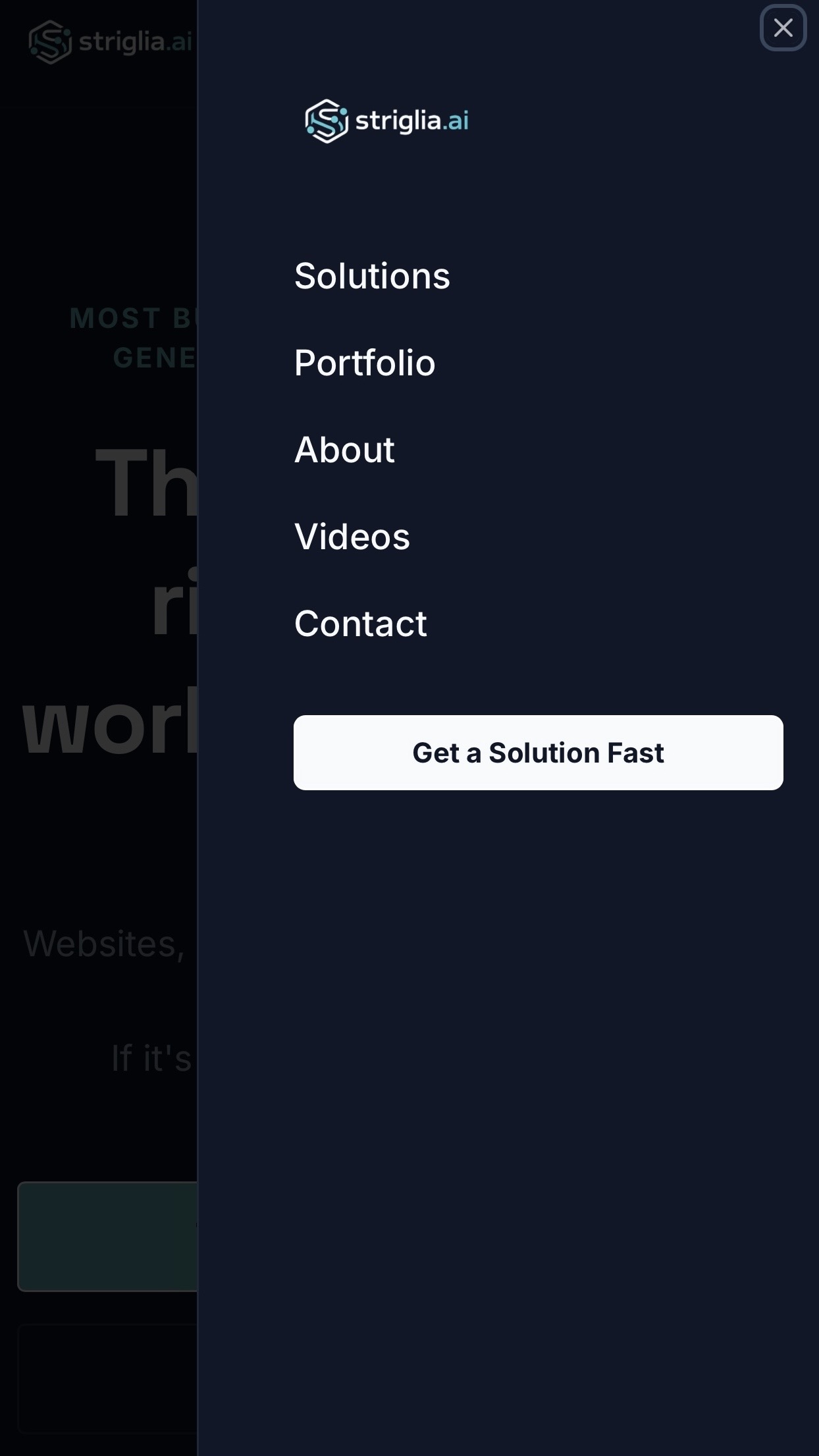 Striglia.AI mobile view 2